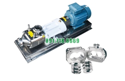 Bơm trục vít đôi FSL-15-55 inox 304 lưu lượng 15 tấn/giờ